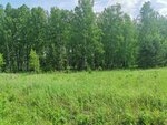 Агентство Земля и Право Красноярск